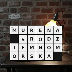 Hasło krzyżówkowe murena - murena śródziemnomorska – rozwiązanie, synonimy, podpowiedzi i definicje krzyżówkowe